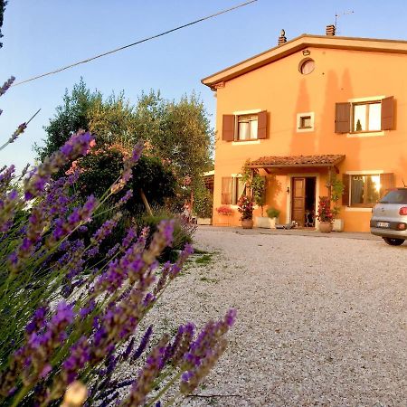Locanda Della Lavanda San Clemente  Buitenkant foto
