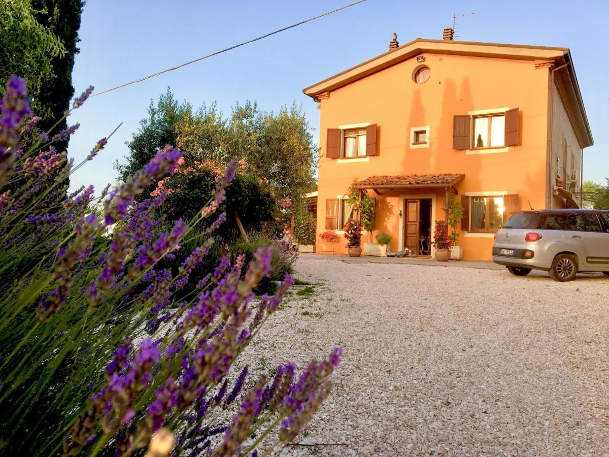 Locanda Della Lavanda San Clemente  Buitenkant foto